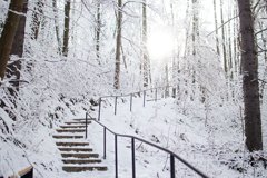 Second image